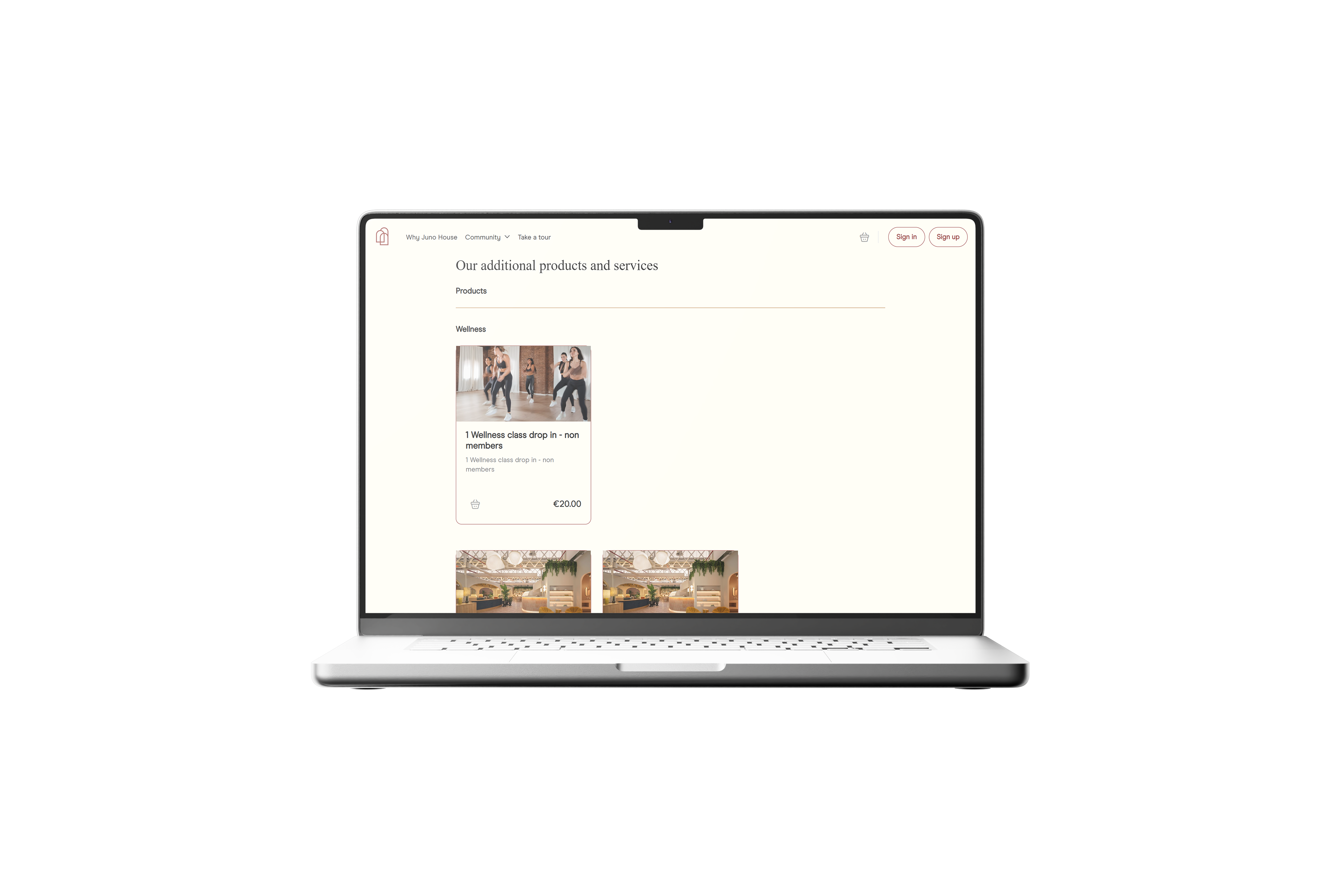 portfolio